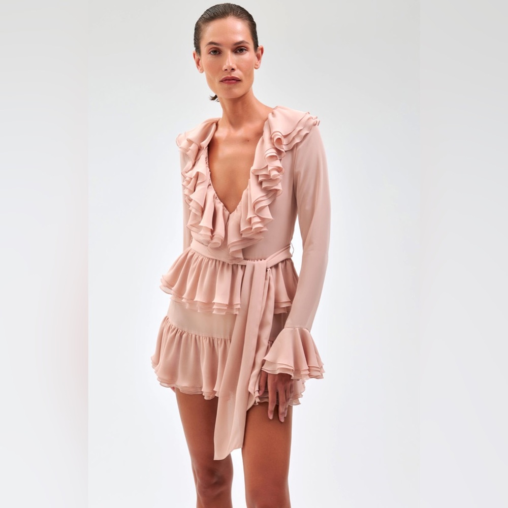 Ronny Kobo Collection Pink Ruffle Long Sleeve Dress